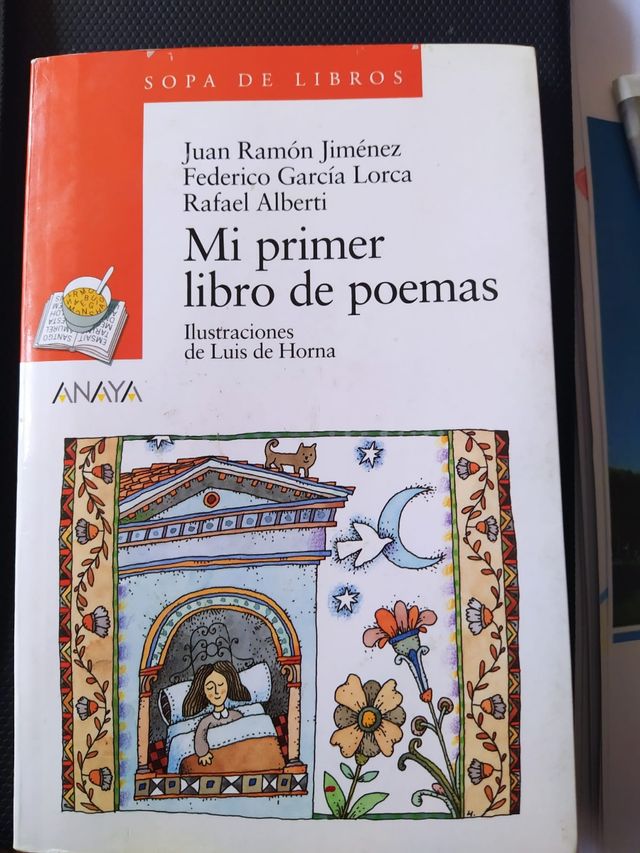 Mi primer libro de poemas.