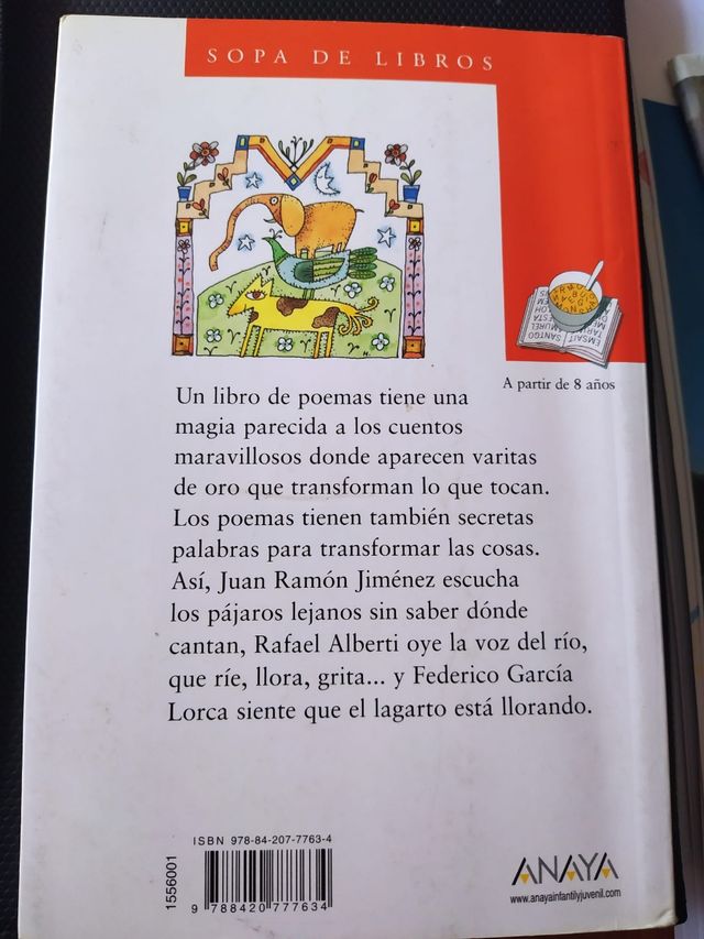 Mi primer libro de poemas.