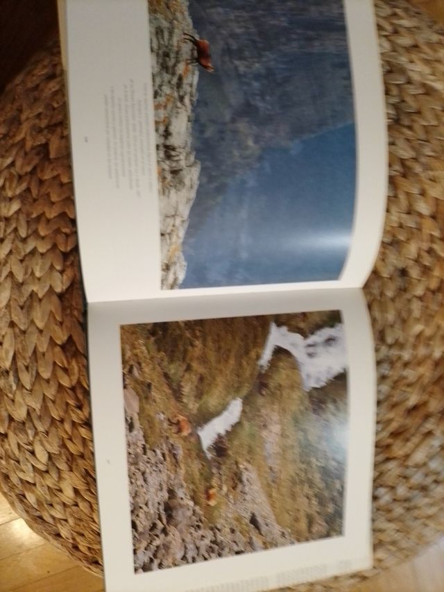 Tres Serols- Monte Perdido