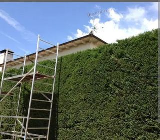 industria y agricultura