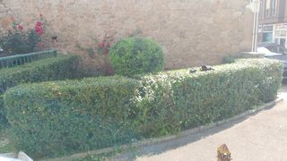 industria y agricultura