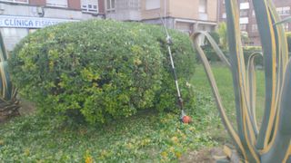 industria y agricultura