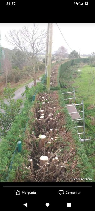 agricultura y jardín