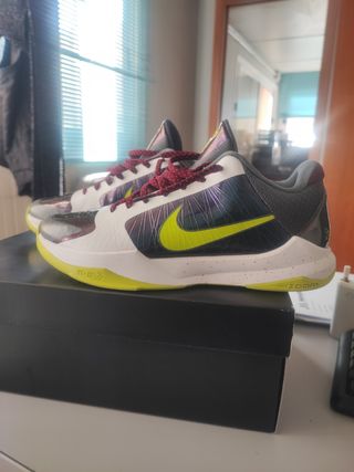 Nike Kobe 5 Protro Chaos (Joker)