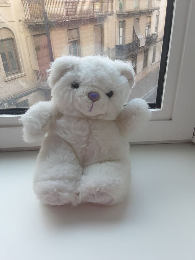 Oso de peluche