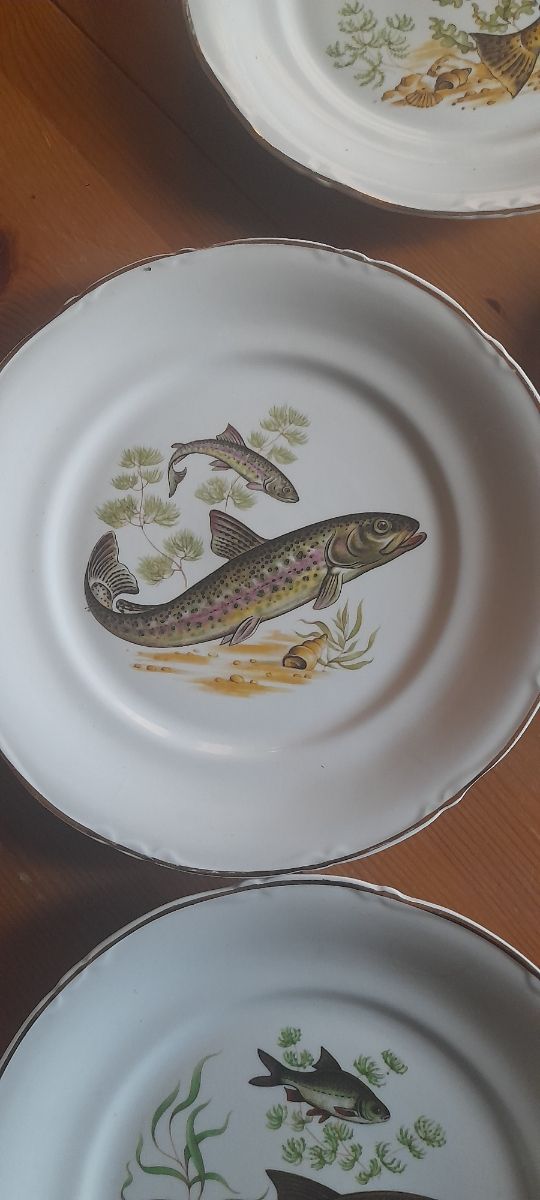 5 platos con motivos peces