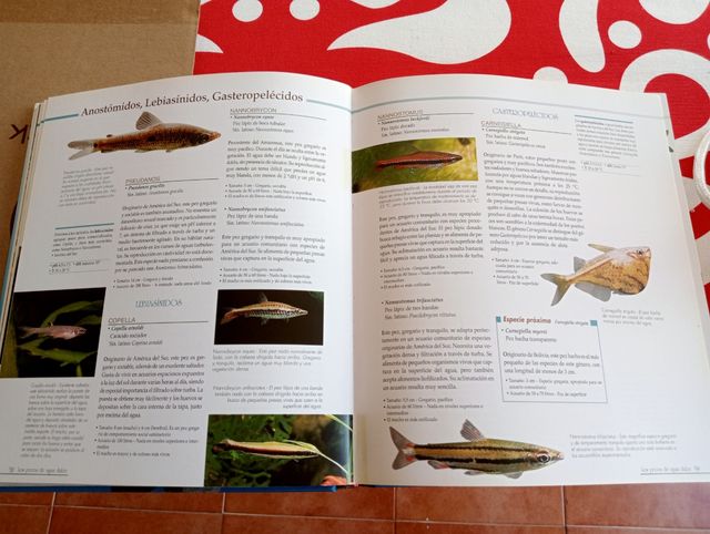 Libro Enciclopedia Acuario