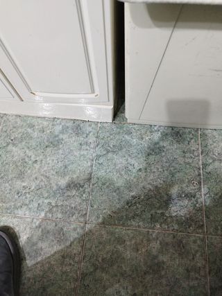 Monedas de franco de 50