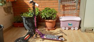 patinete niña