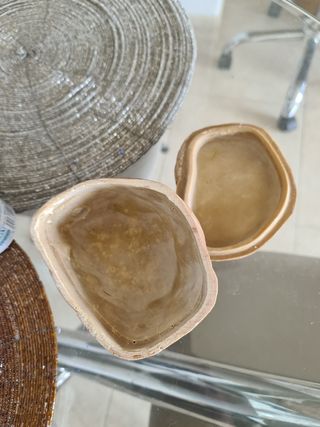 comedero reptiles terrario