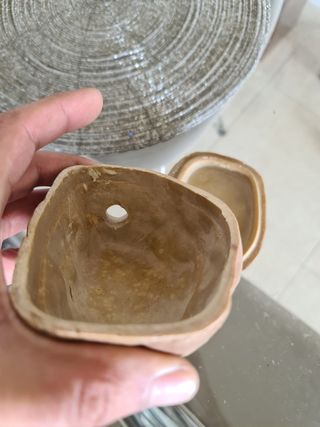 comedero reptiles terrario