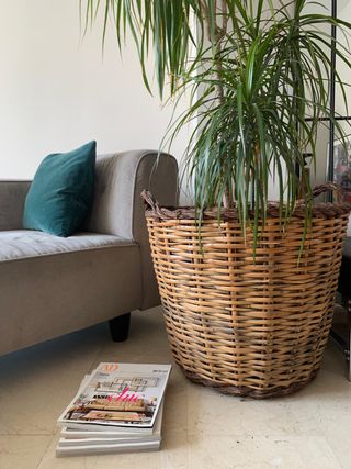 Cesto mimbre grande