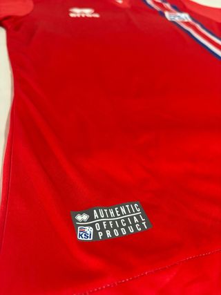 Camiseta portero selección Islandia 2016