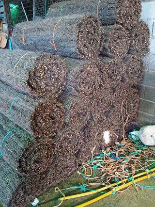 vendemos todo tipo de brezo