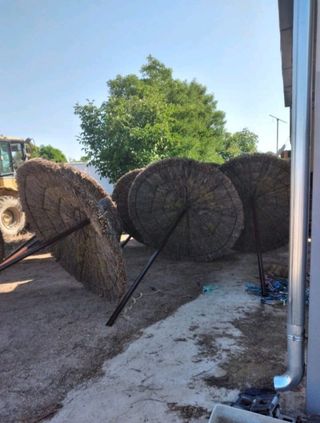 vendemos todo tipo de brezo