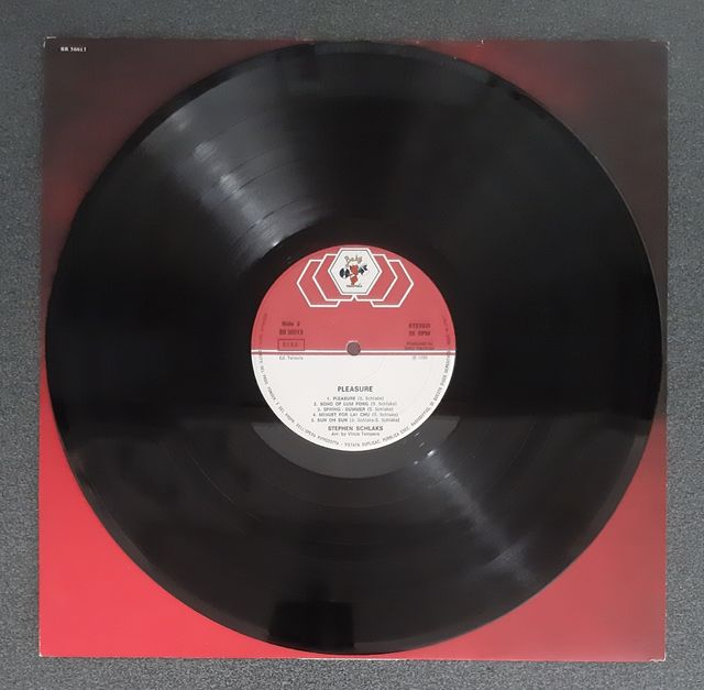 LP Vinile Stephen Schlaks "Pleasure"