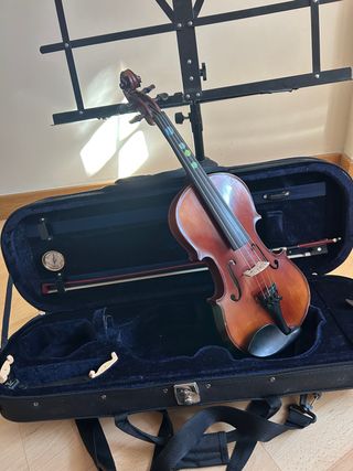 Violín