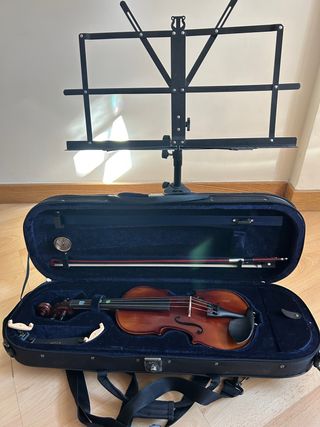 Violín