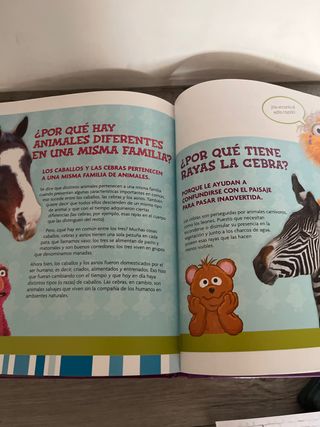 Dos libros de animales para niños