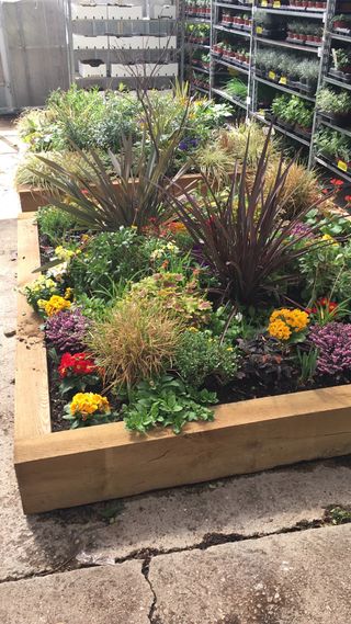 Diseño y mantenimiento de jardines