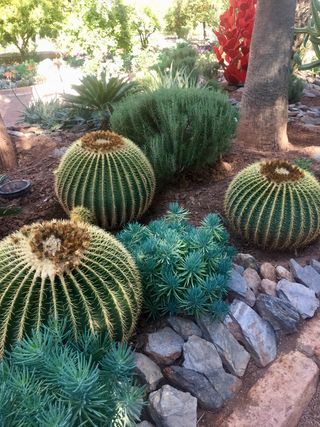 Diseño y mantenimiento de jardines