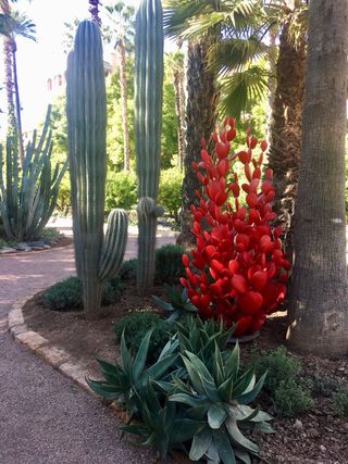 Diseño y mantenimiento de jardines