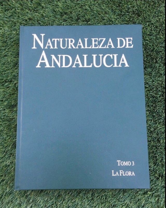 Naturaleza de Andalucia LA FLORA