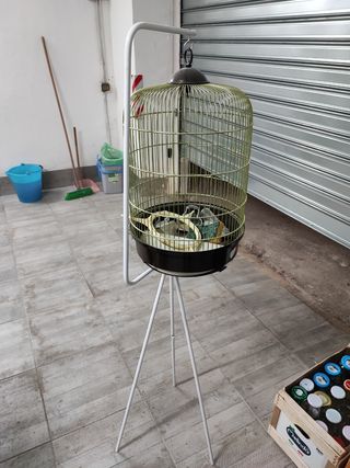 gabbie per uccelli