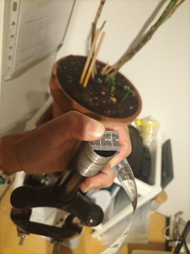 amortiguador rueda 26