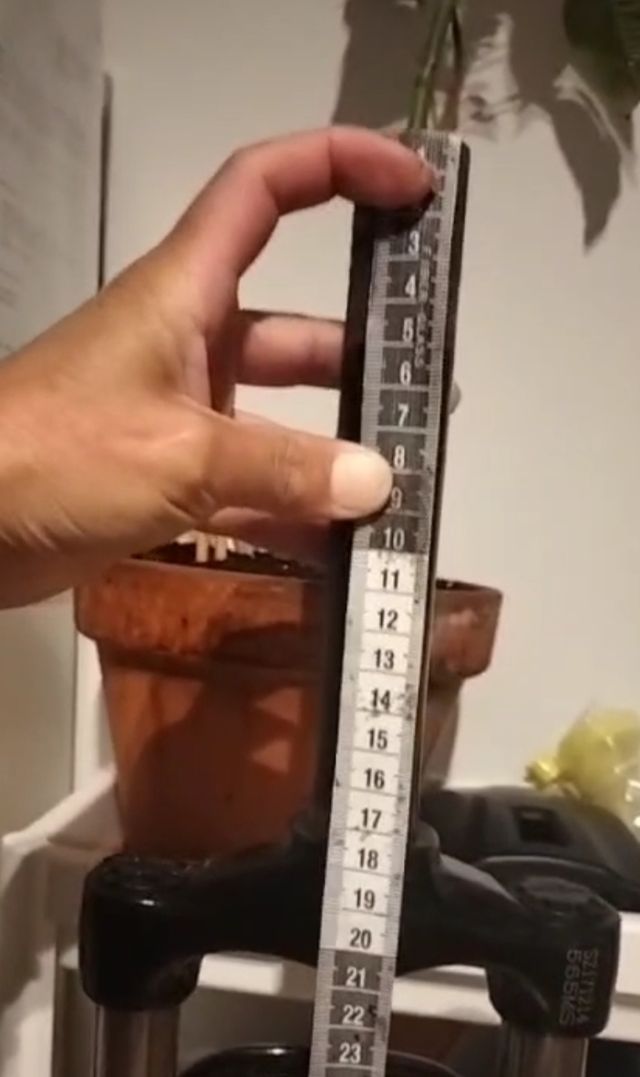 amortiguador rueda 26