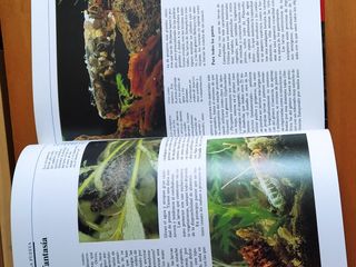 El reto de la vida.Arquitectura animal