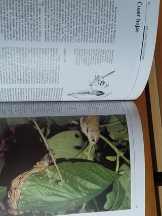 El reto de la vida.Arquitectura animal