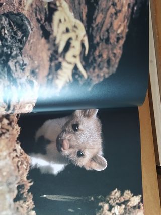 El reto de la vida.Arquitectura animal