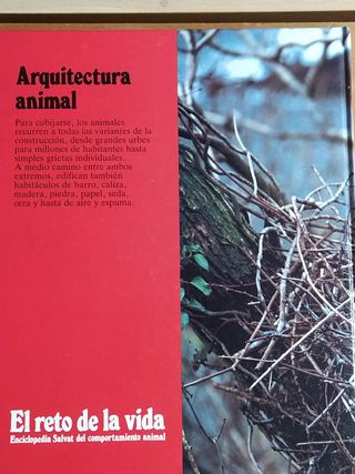 El reto de la vida.Arquitectura animal