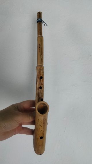 Saxo andino de caña