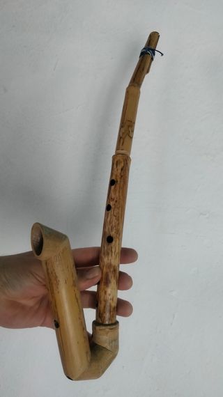 Saxo andino de caña