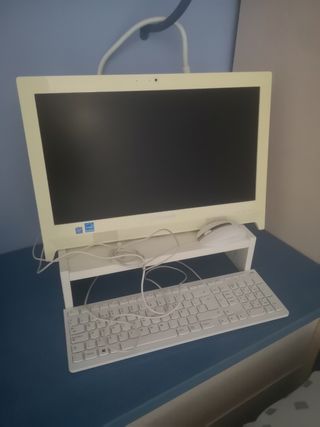 Ordenador Lenovo todo en 1 C260