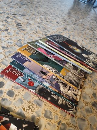 Lote del 4 al 18 The Walking dead