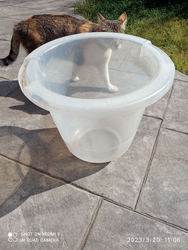 Tummy Tub , bañera de segunda mano por 5 EUR en Torelló en WALLAPOP