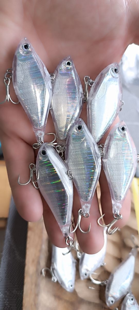 LIPLESS FINESS  ALBURNO (LOTE 2 X 12€  3 X 15€)