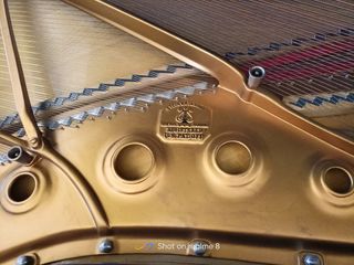 Piano de cola Steinway & Sons