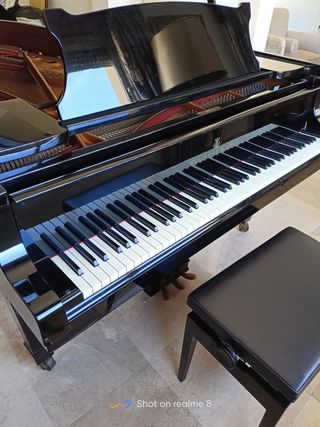 Piano de cola Steinway & Sons