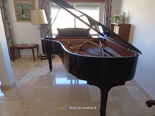 Piano de cola Steinway & Sons