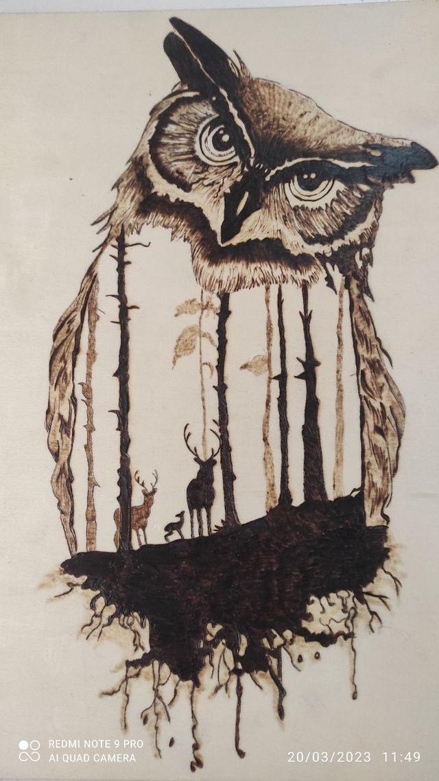 LA FORESTA INCANTATA