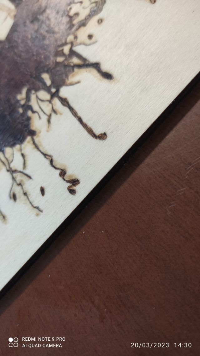 LA FORESTA INCANTATA