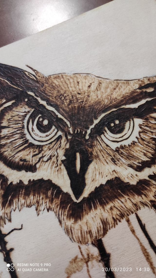 LA FORESTA INCANTATA