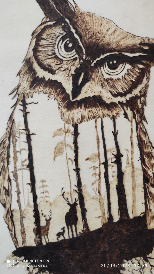 LA FORESTA INCANTATA