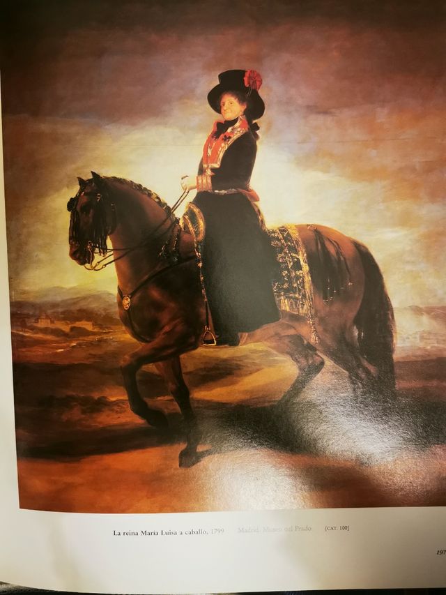 Goya 250 aniversario