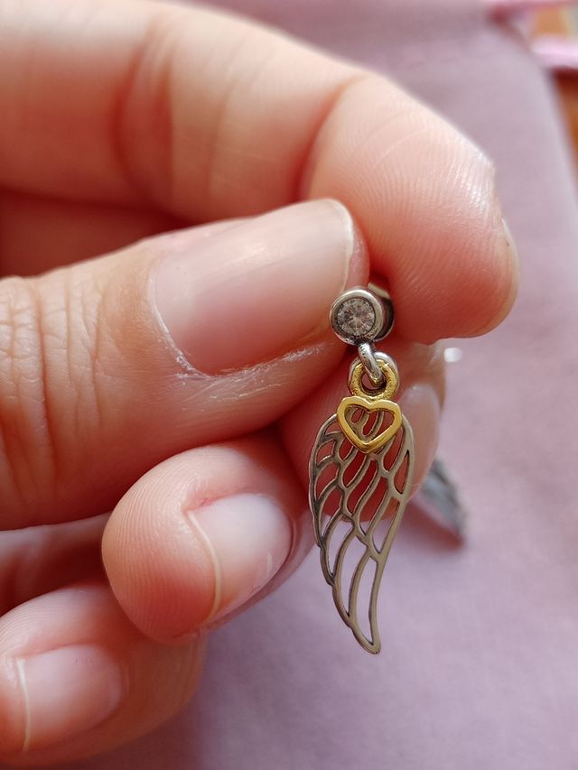 Pendientes Alas de Ángel de plata de ley