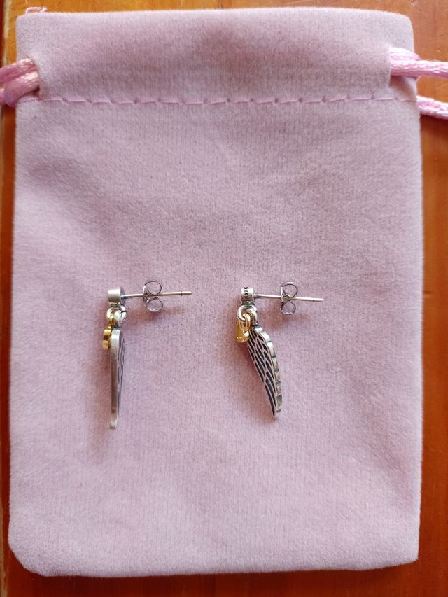 Pendientes Alas de Ángel de plata de ley